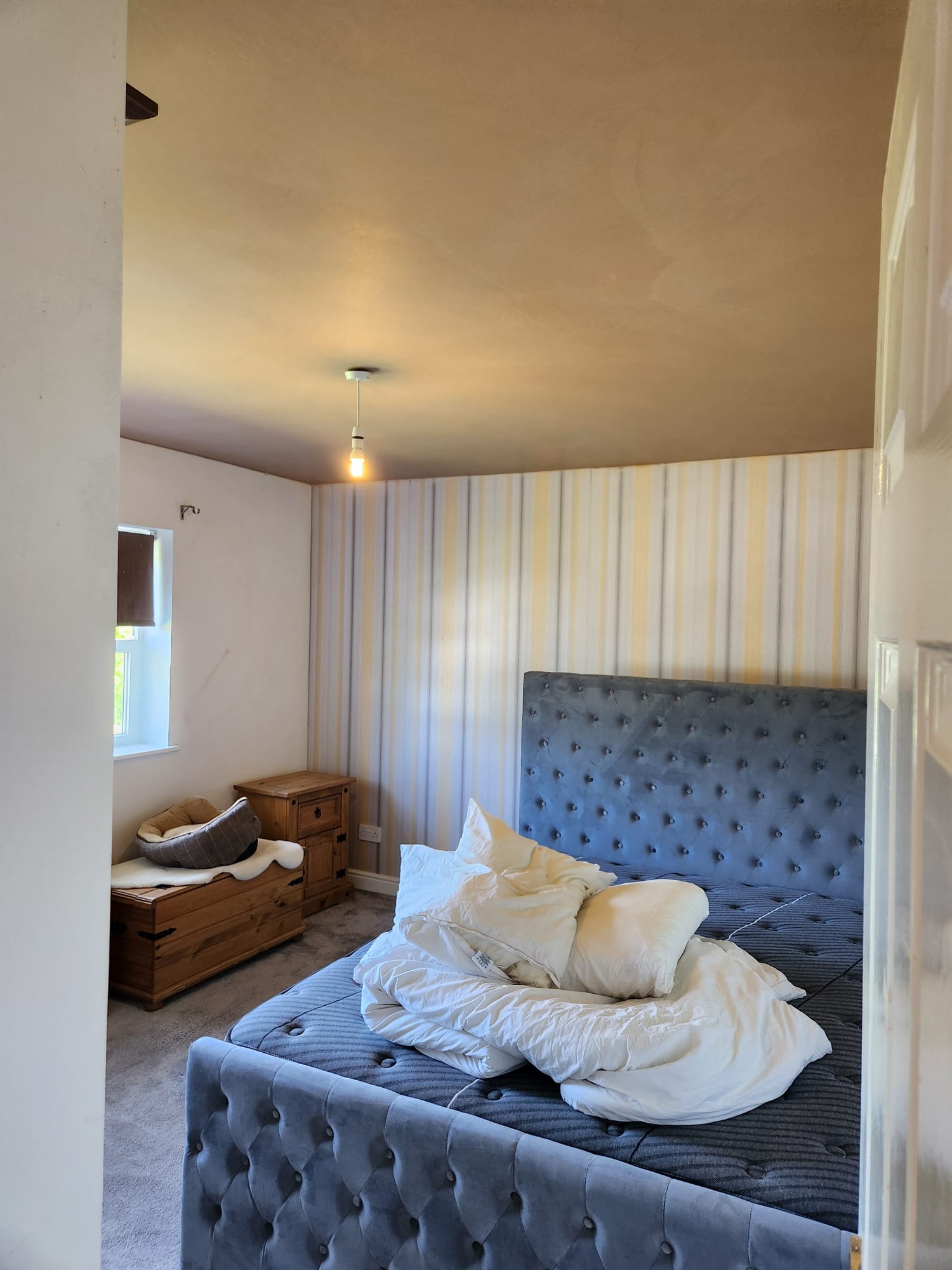 Plastered Ceilings Covering Textured Artex Whistable, Kent
